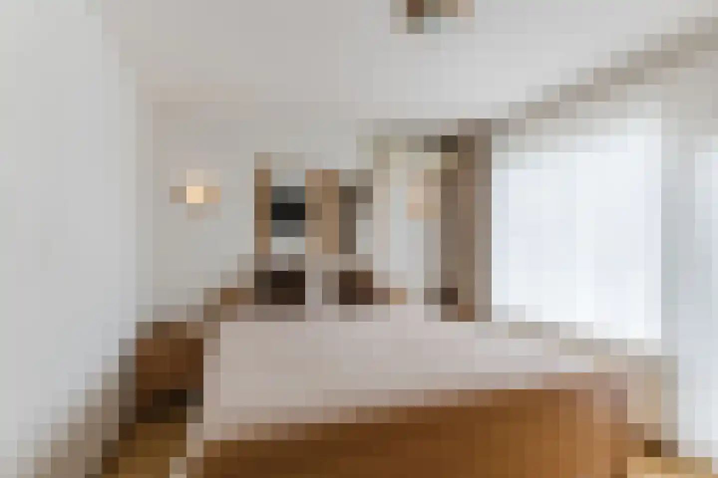 Korenstraat 40 Moergestel thumbnail 15