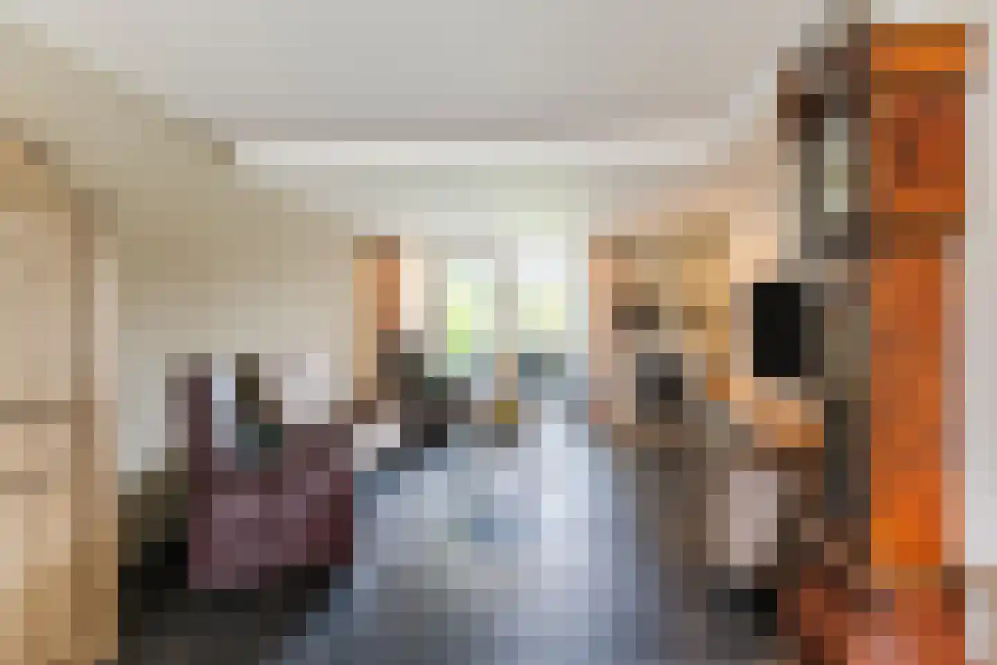 Korenstraat 40 Moergestel thumbnail 5