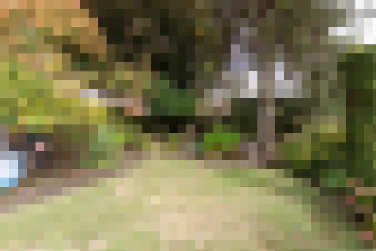 Korenstraat 42 Moergestel thumbnail 6