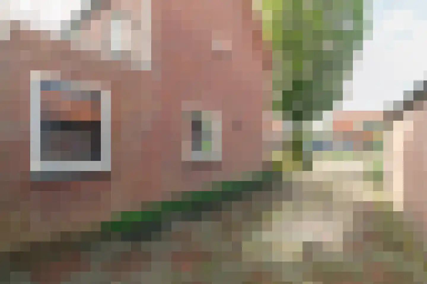Korenstraat 42 Moergestel thumbnail 7