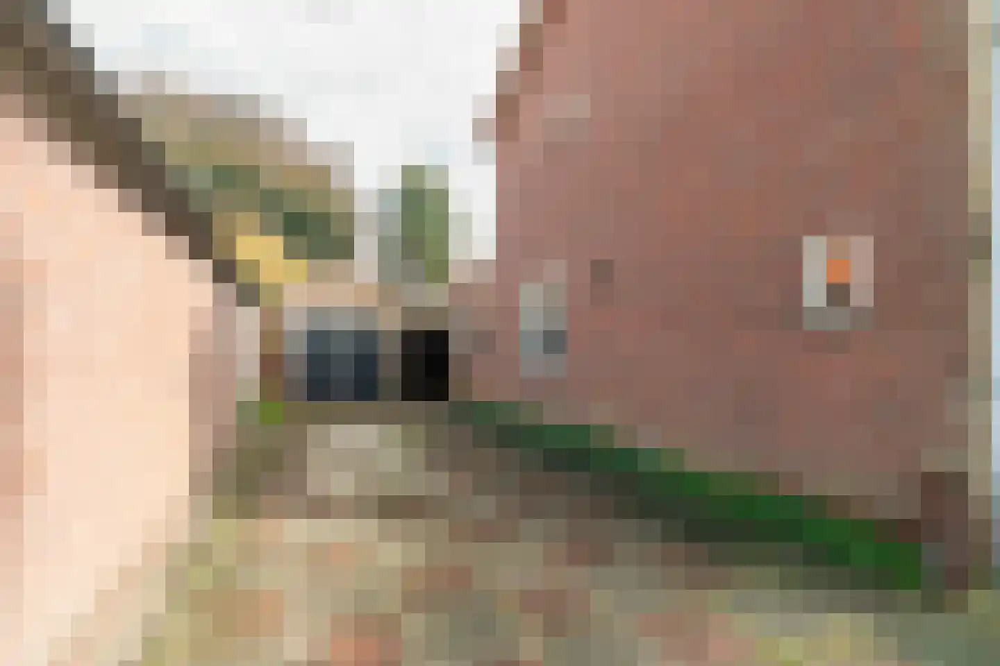 Korenstraat 42 Moergestel thumbnail 8