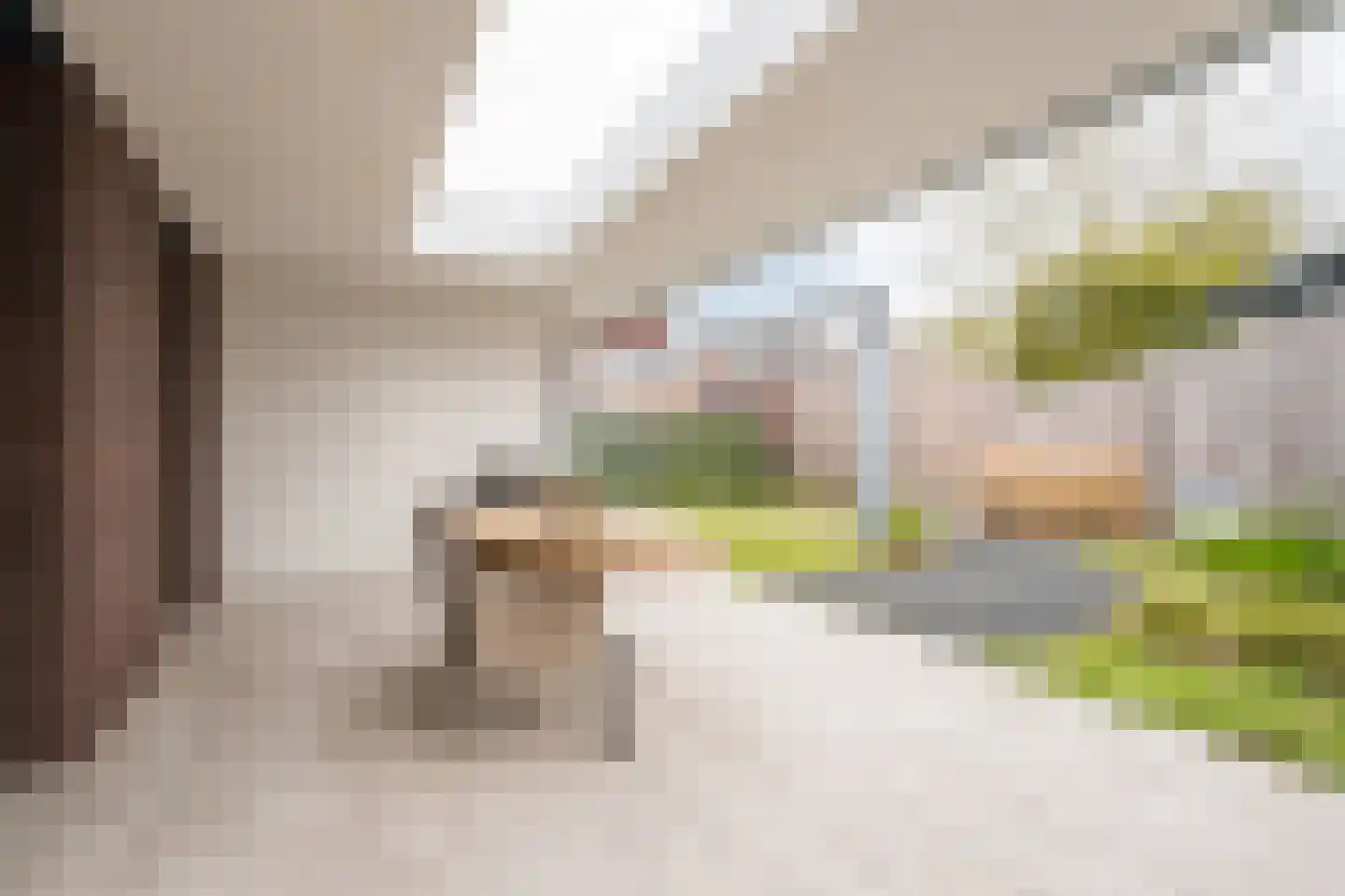 Korenstraat 42 Valkenswaard thumbnail 34