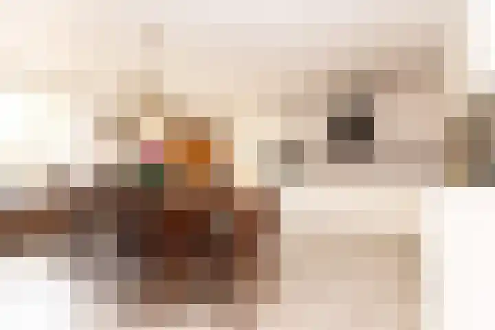 Korenstraat 49 Kreileroord thumbnail 8