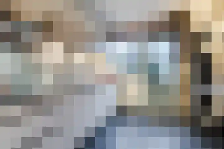 Korenstraat 5 Epe thumbnail 20