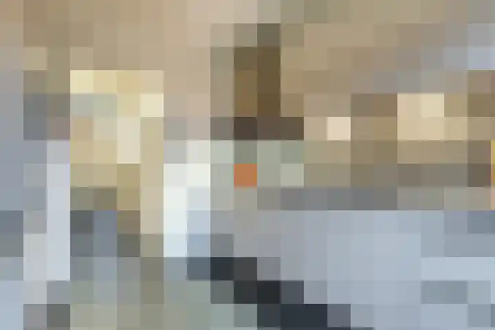 Korenstraat 5 Epe thumbnail 21