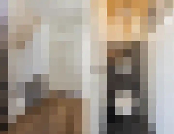 Korenstraat 5 Epe thumbnail 26