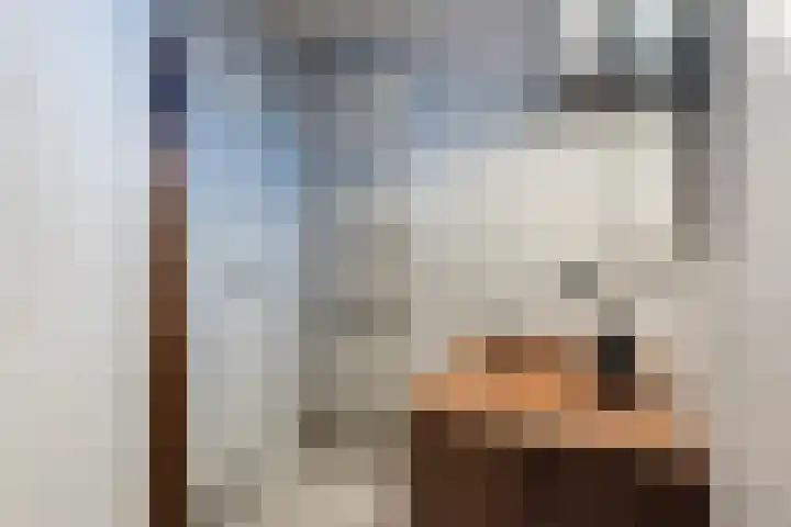 Korenstraat 5 Epe thumbnail 34