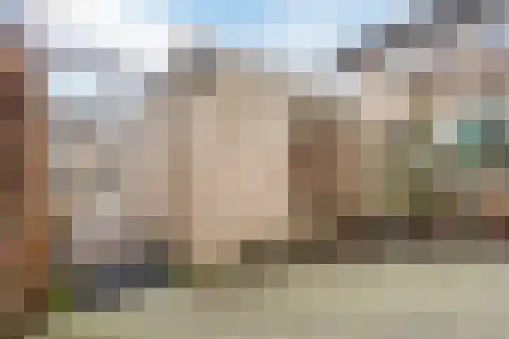 Korenstraat 5 Epe thumbnail 54