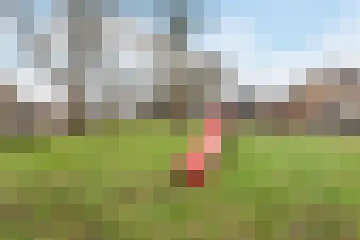 Korenstraat 5 Epe thumbnail 57