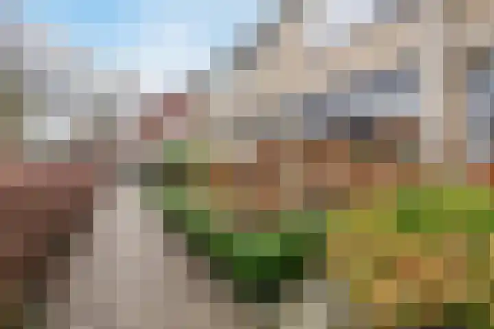 Korenstraat 5 Epe thumbnail 6
