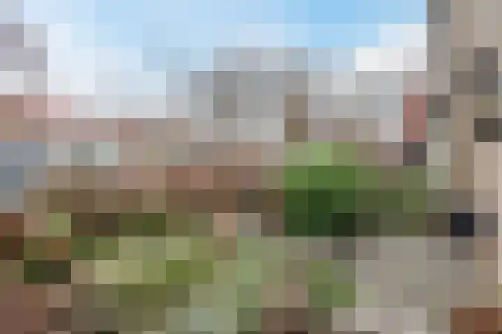 Korenstraat 5 Epe thumbnail 7