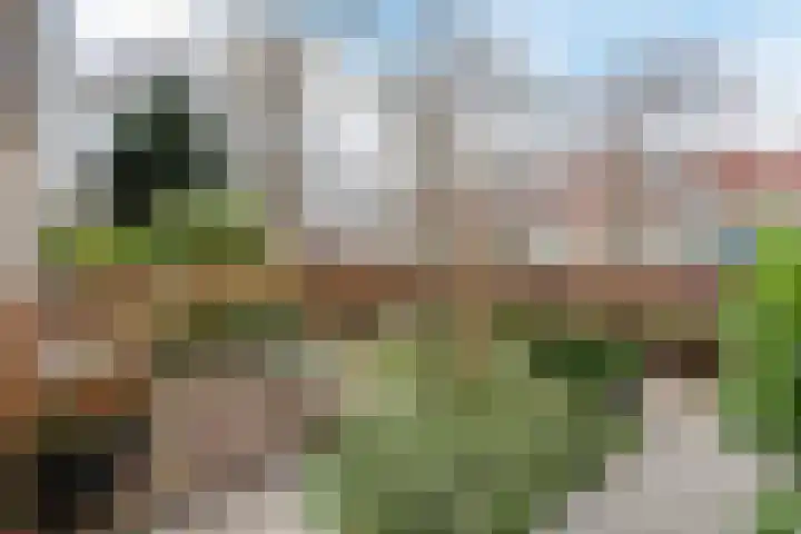 Korenstraat 5 Epe thumbnail 8