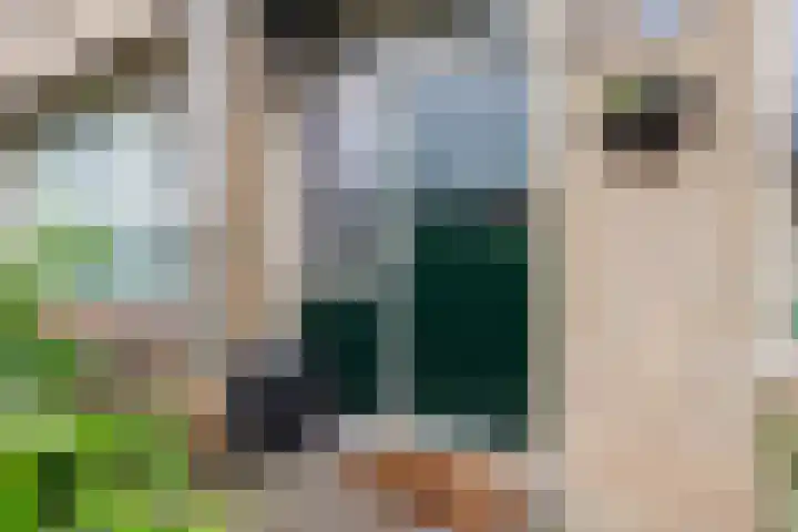Korenstraat 5 Epe thumbnail 9