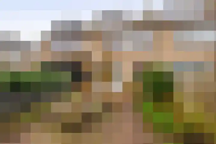 Korenstraat 5 Zevenhuizen thumbnail 27