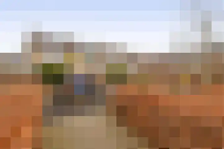 Korenstraat 5 Zevenhuizen thumbnail 30
