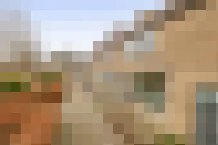 Korenstraat 5 Zevenhuizen thumbnail 31
