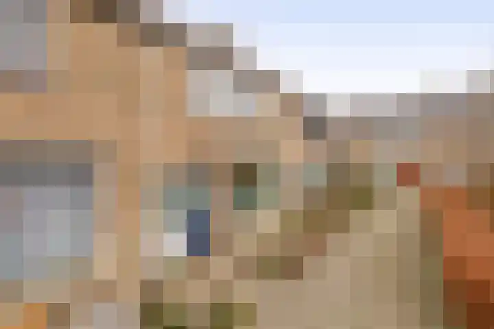 Korenstraat 5 Zevenhuizen thumbnail 32