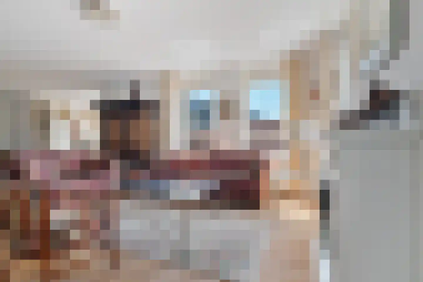 Korenstraat 5 Zutphen thumbnail 9
