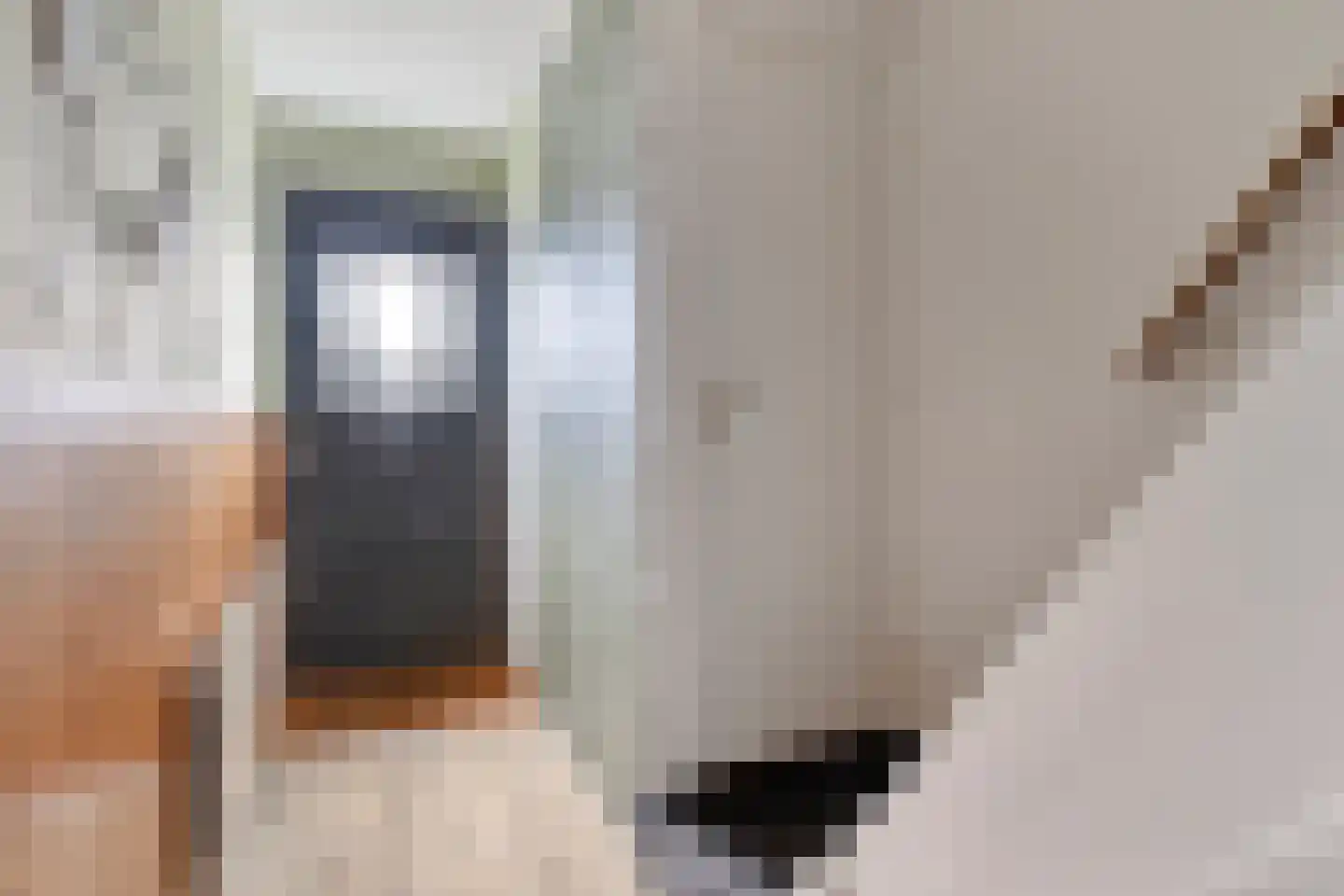 Korenstraat 51 Kreileroord thumbnail 18