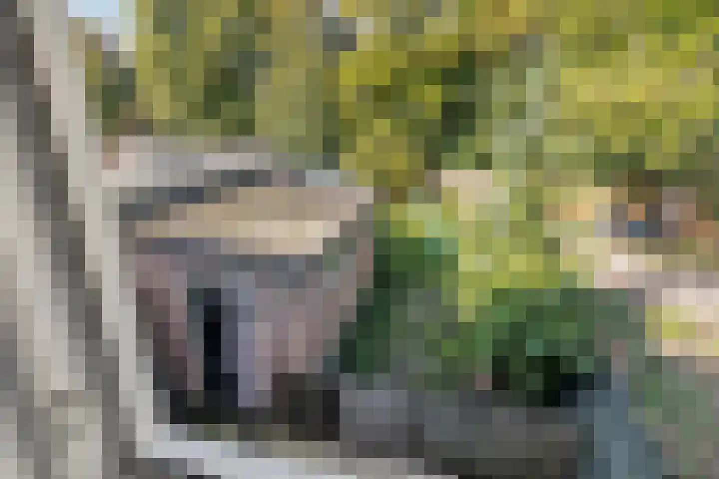 Korenstraat 51 Kreileroord thumbnail 25