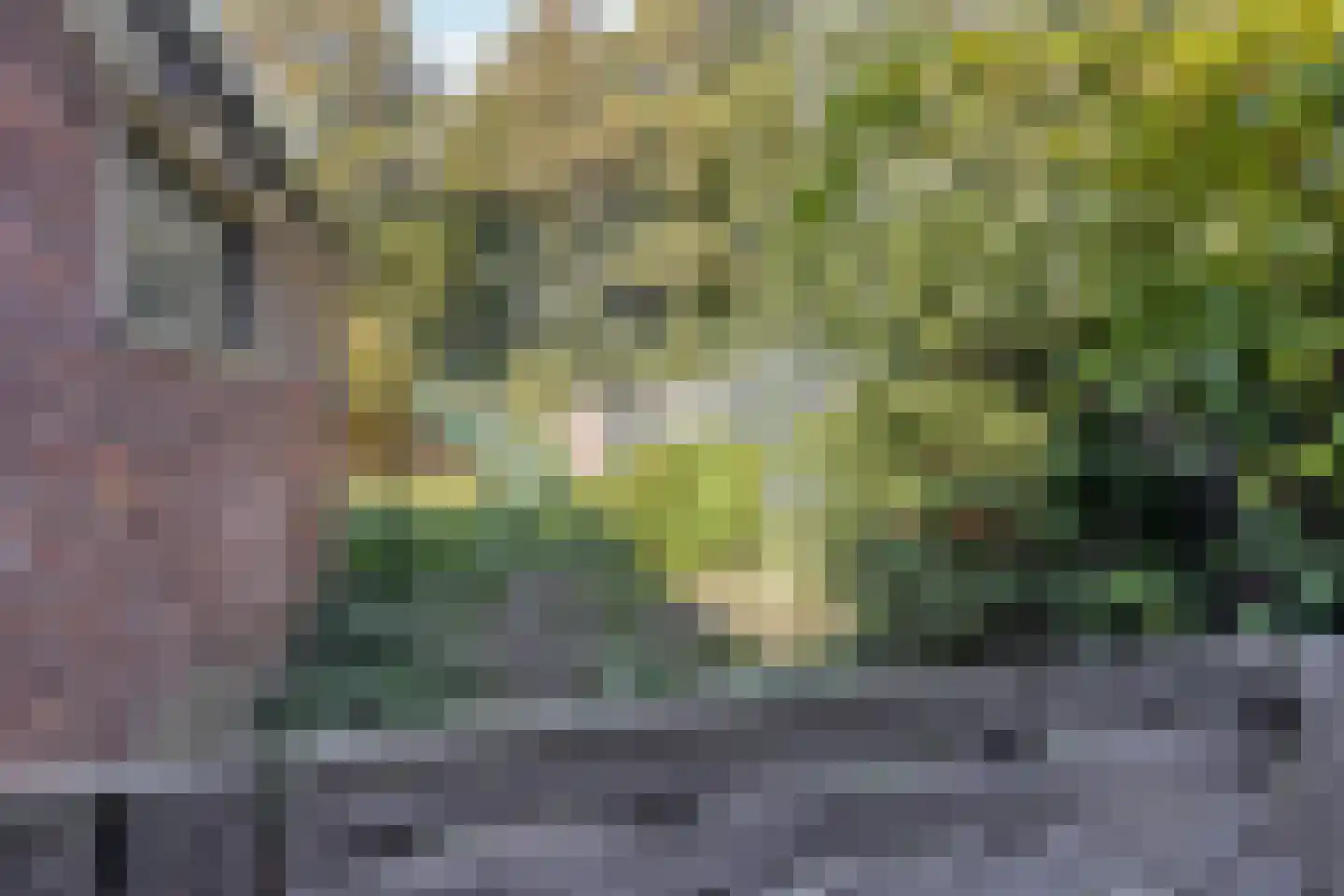 Korenstraat 51 Kreileroord thumbnail 33