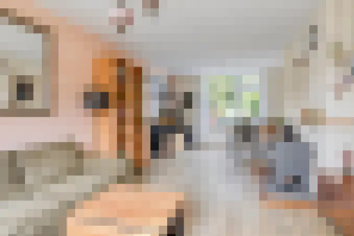 Korenstraat 51 Kreileroord thumbnail 8