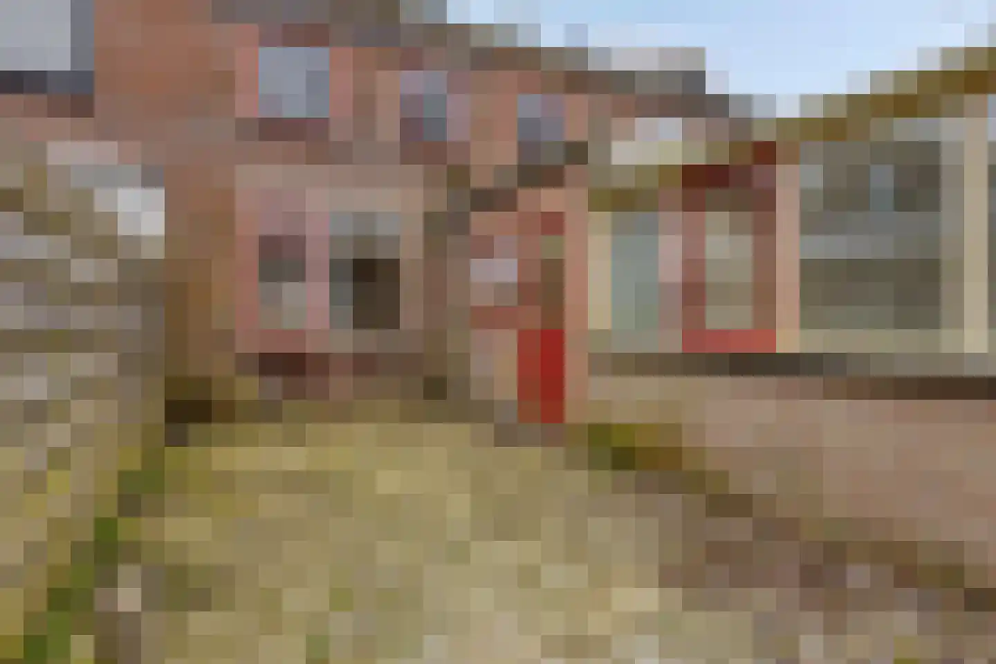 Korenstraat 55 Kreileroord thumbnail 32