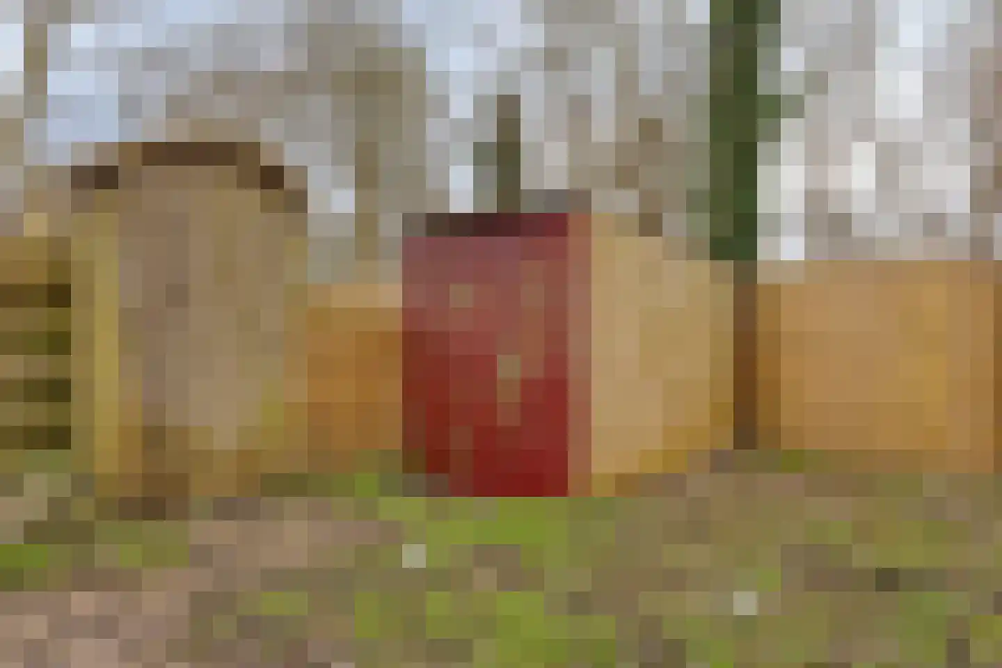 Korenstraat 55 Kreileroord thumbnail 33