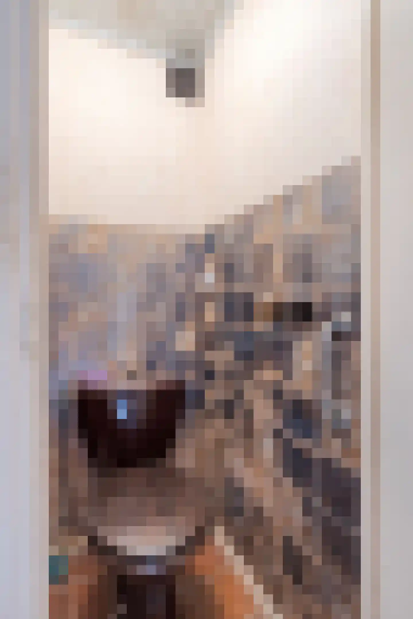 Korenstraat 55 Kreileroord thumbnail 9