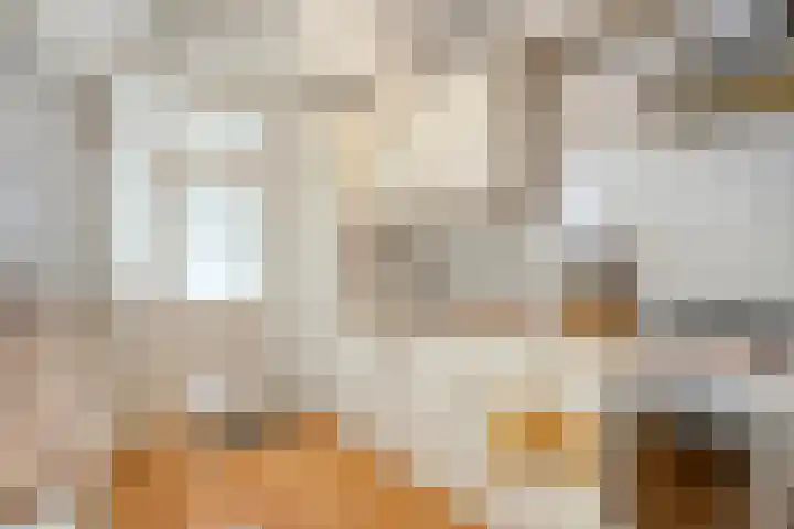 Korenstraat 77 Kreileroord thumbnail 18
