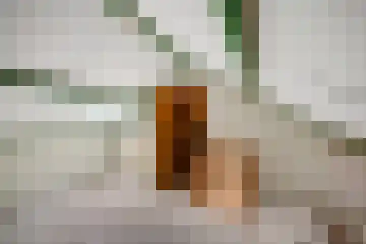 Korenstraat 77 Kreileroord thumbnail 30
