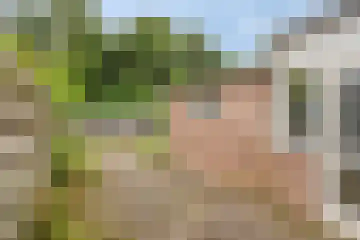 Korenstraat 77 Kreileroord thumbnail 32