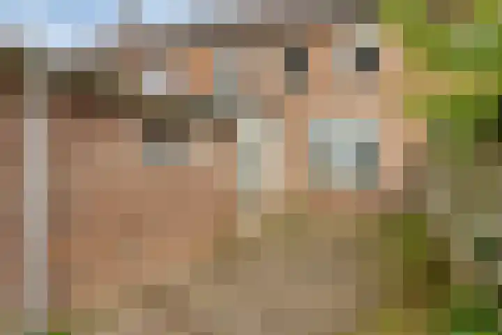 Korenstraat 77 Kreileroord thumbnail 33
