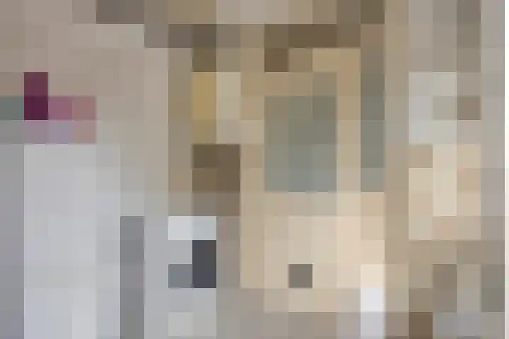 Korenstraat 77 Kreileroord thumbnail 36