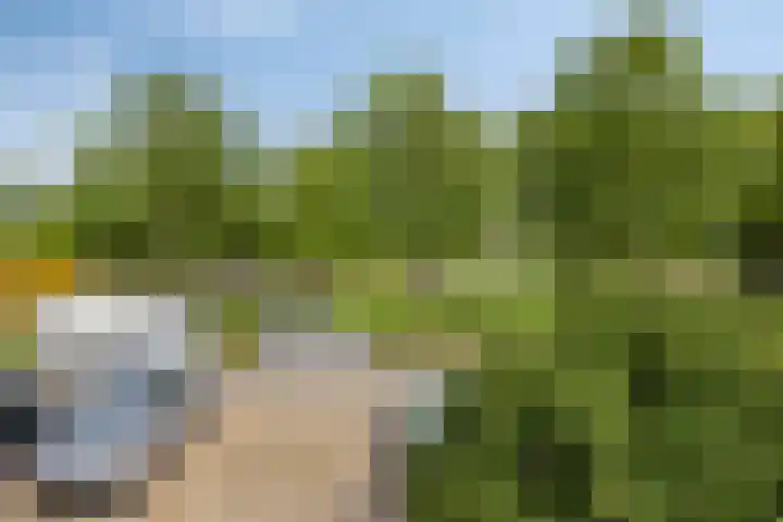 Korenstraat 77 Kreileroord thumbnail 37