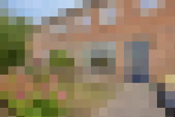 Korenstraat 77 Kreileroord thumbnail 7