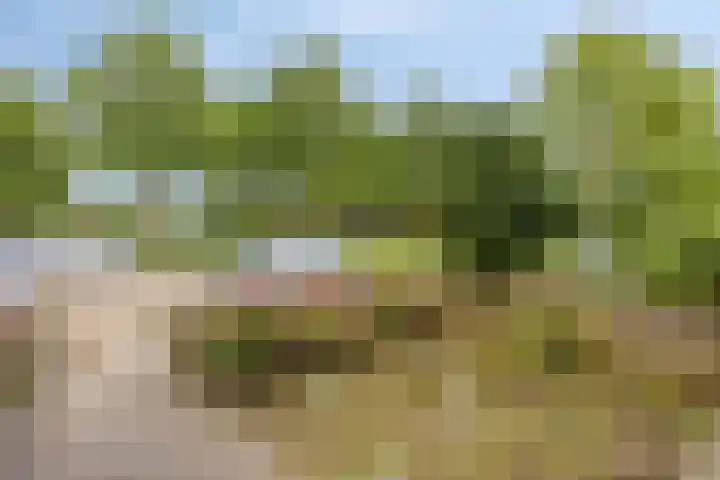 Korenstraat 77 Kreileroord thumbnail 8
