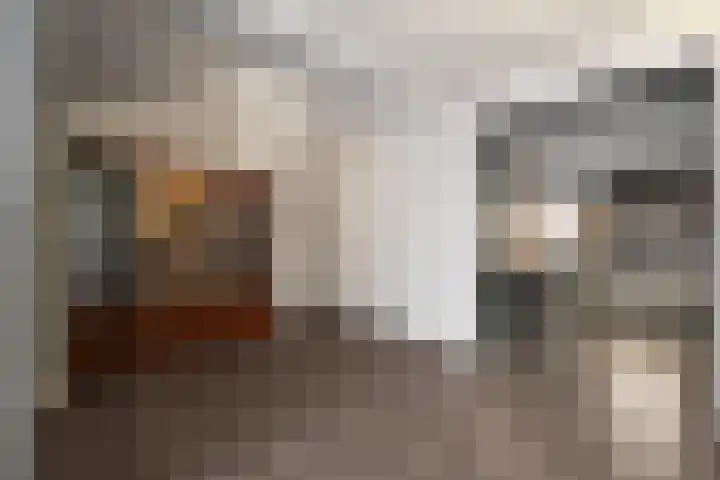 Korenstraat 81 Kreileroord thumbnail 12