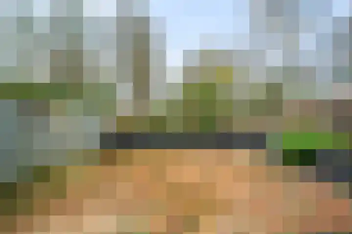 Korenstraat 81 Kreileroord thumbnail 22