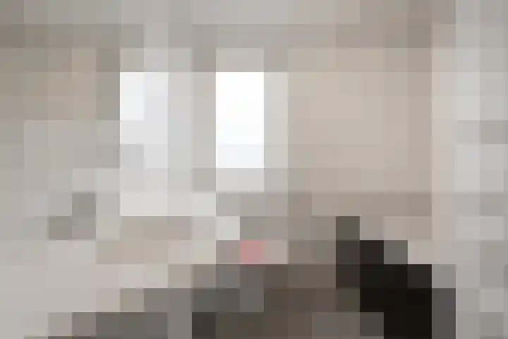 Korenstraat 81 Kreileroord thumbnail 31