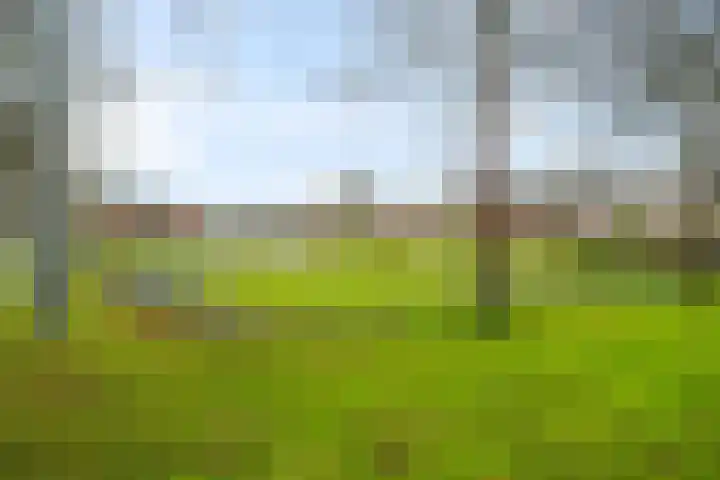 Korenstraat 81 Kreileroord thumbnail 35