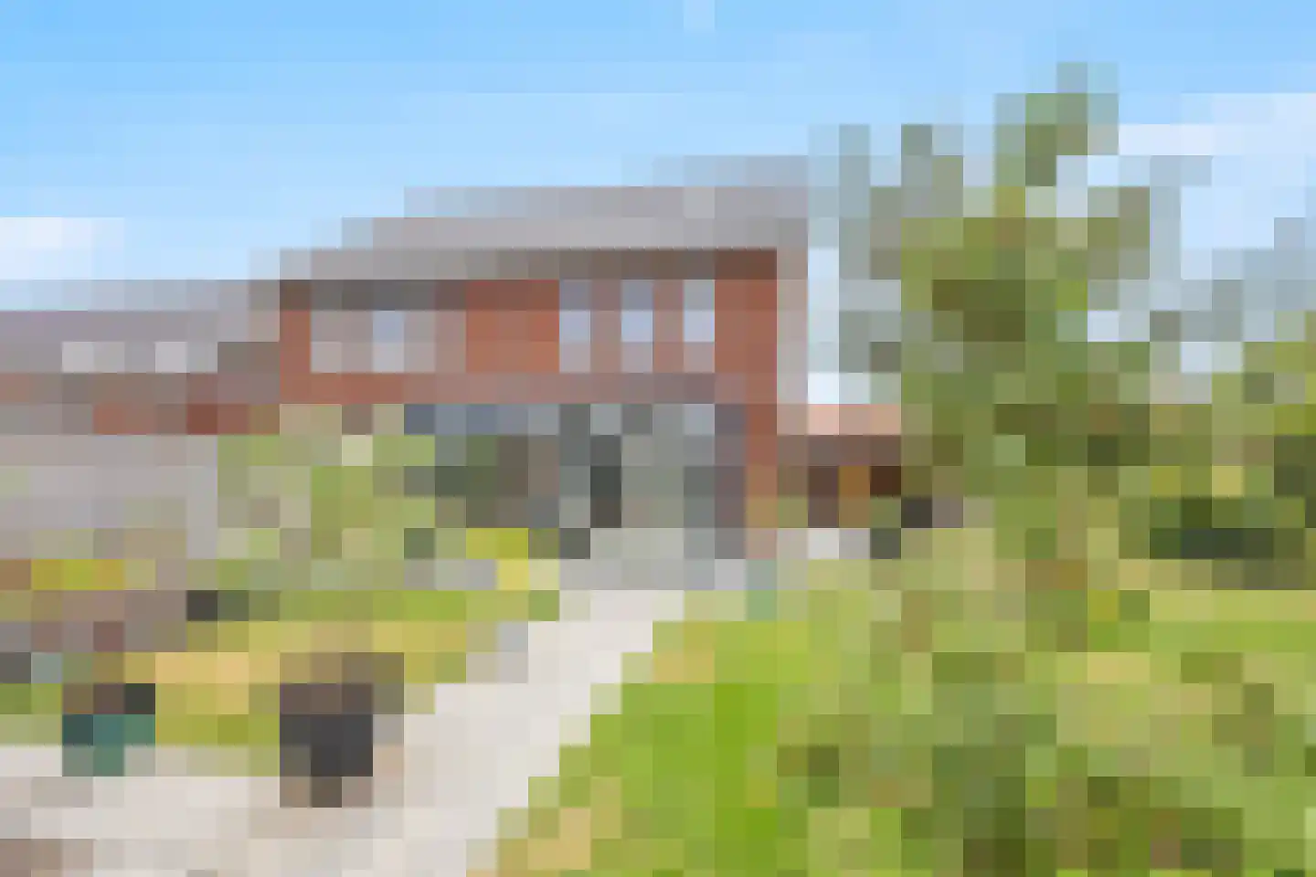 Korenveld 1 Beneden-Leeuwen thumbnail 4