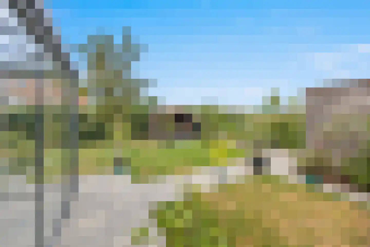 Korenveld 1 Beneden-Leeuwen thumbnail 41