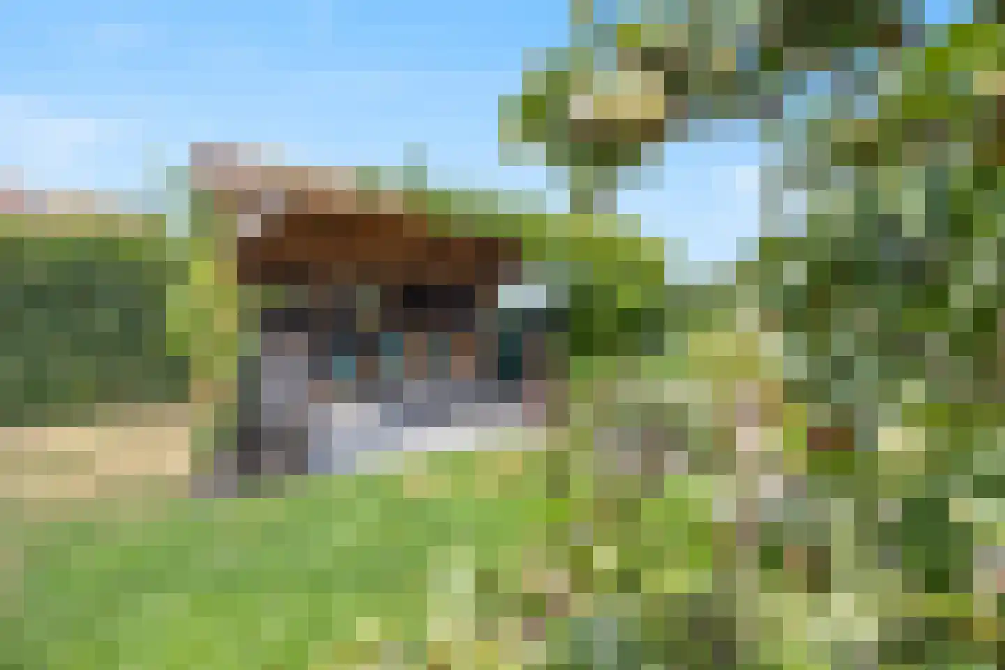 Korenveld 1 Beneden-Leeuwen thumbnail 42