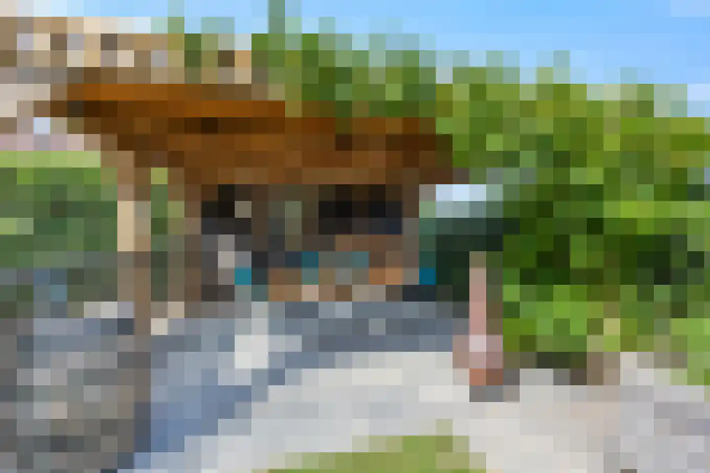 Korenveld 1 Beneden-Leeuwen thumbnail 43