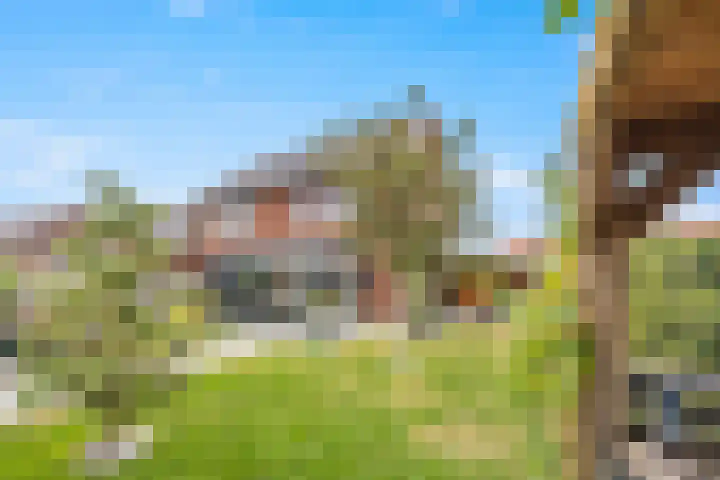 Korenveld 1 Beneden-Leeuwen thumbnail 45