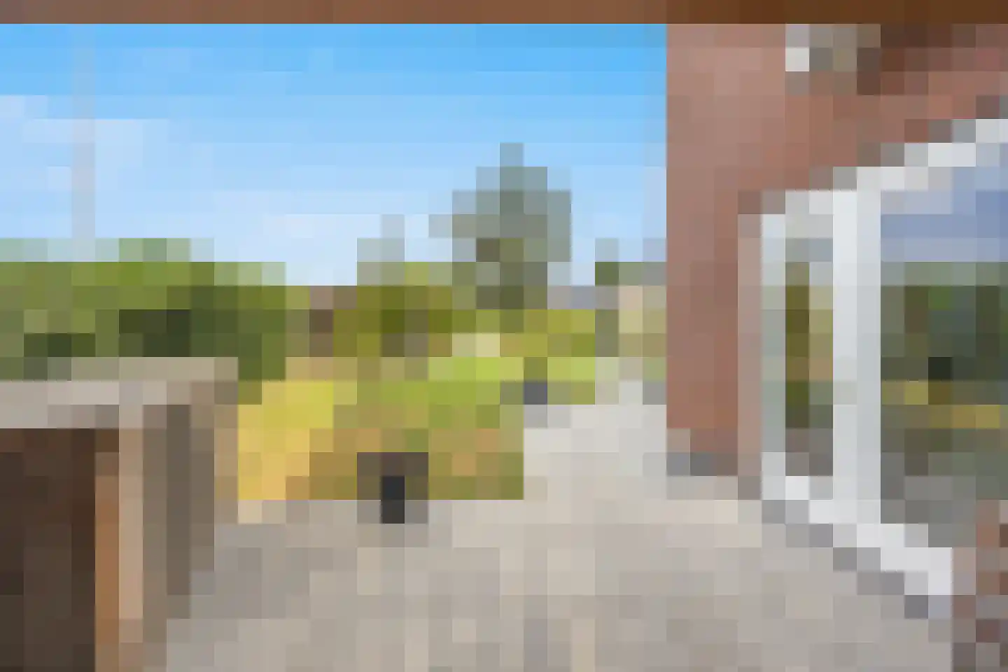 Korenveld 1 Beneden-Leeuwen thumbnail 47