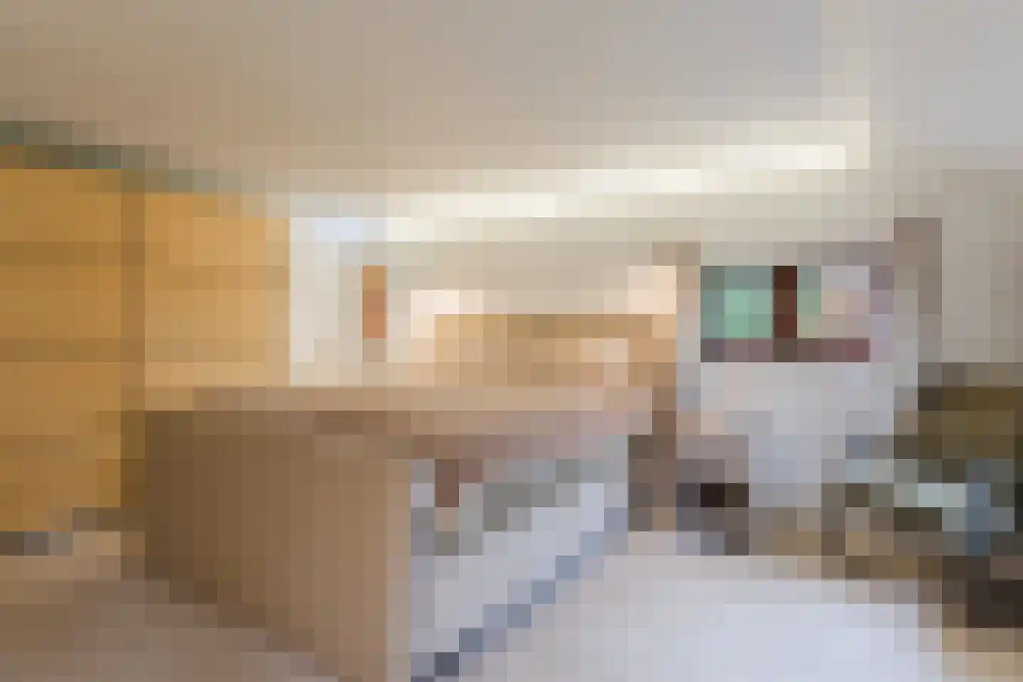 Korenveld 1 Braamt thumbnail 19