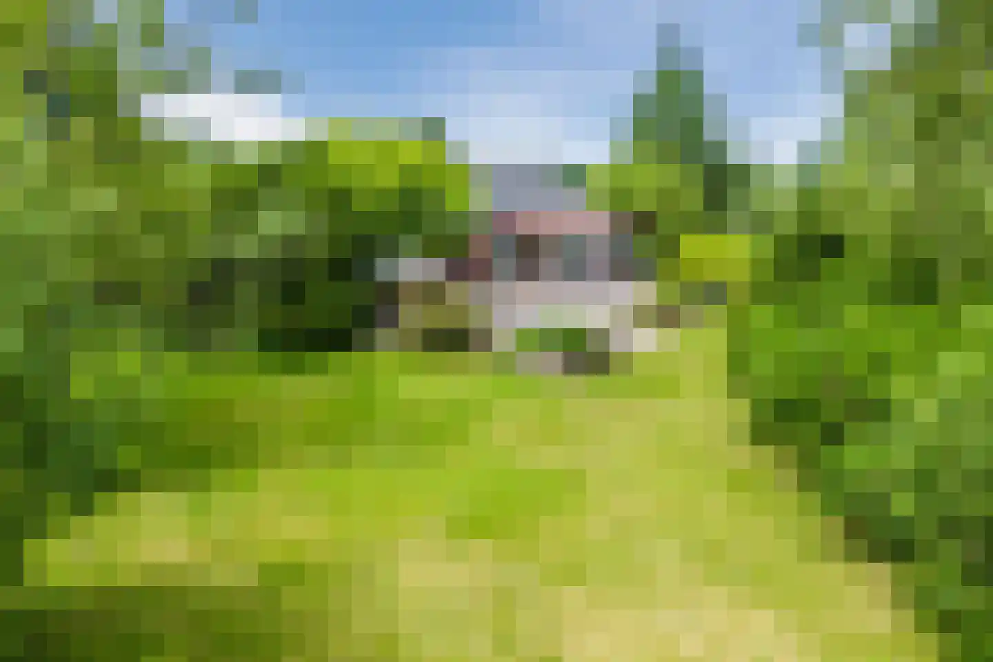 Korenveld 1 Braamt thumbnail 36