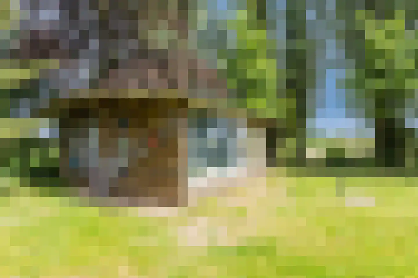 Korenveld 1 Braamt thumbnail 37